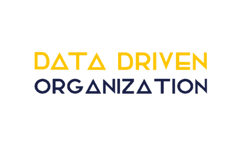 Logo Data Driven Organization
