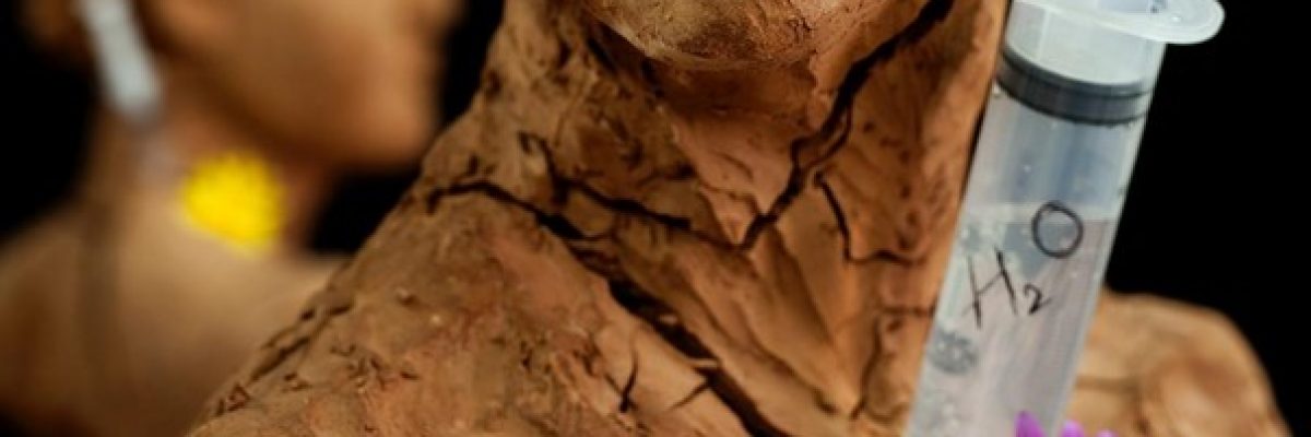 O que eu tenho a ver com a COP26