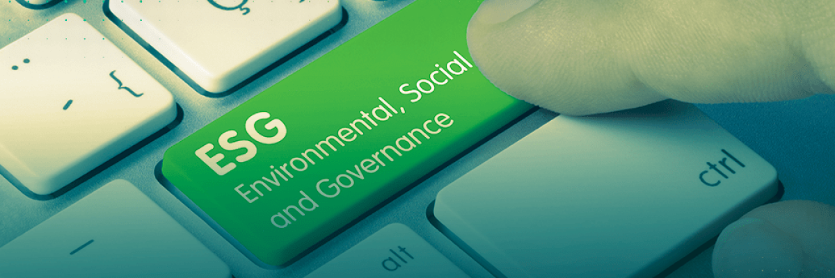 guest-post-distrito2-site